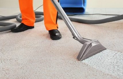 carpet-cleaning-rapid-cleaning-services-florida